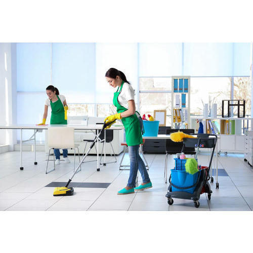 Professional Cleaning Service