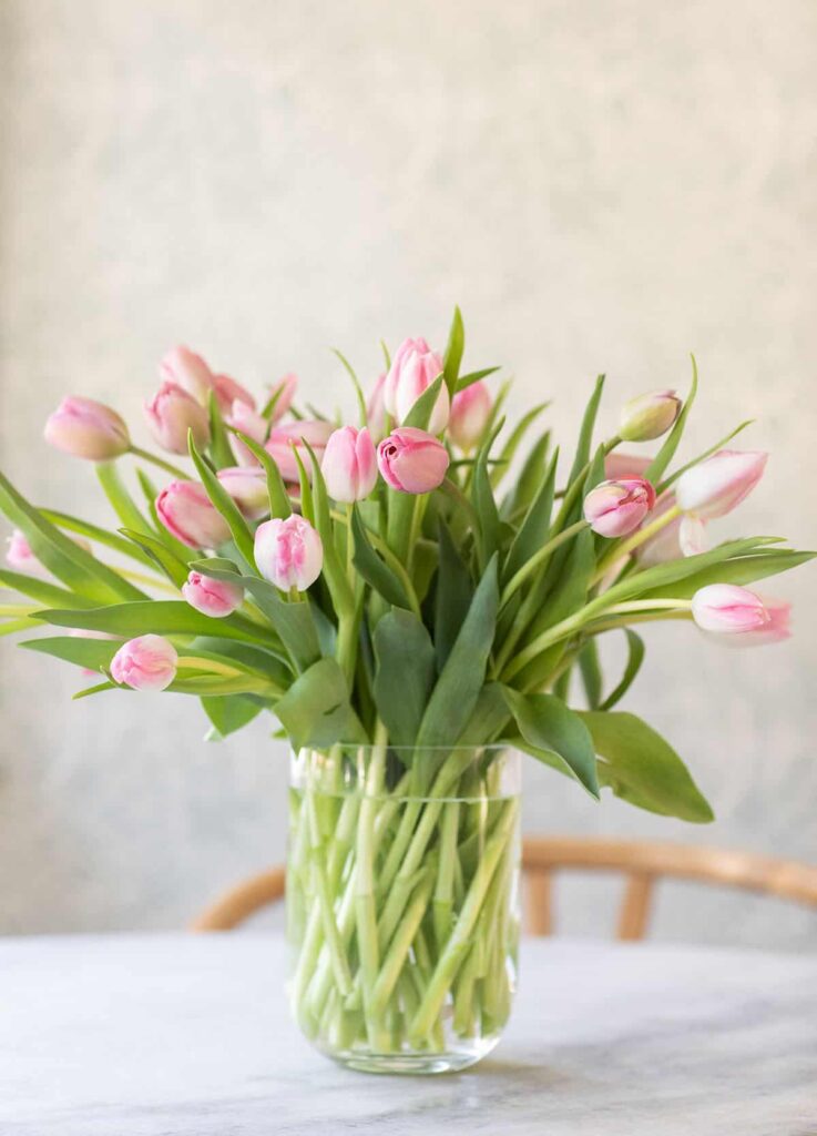 Tulip Flower Vases