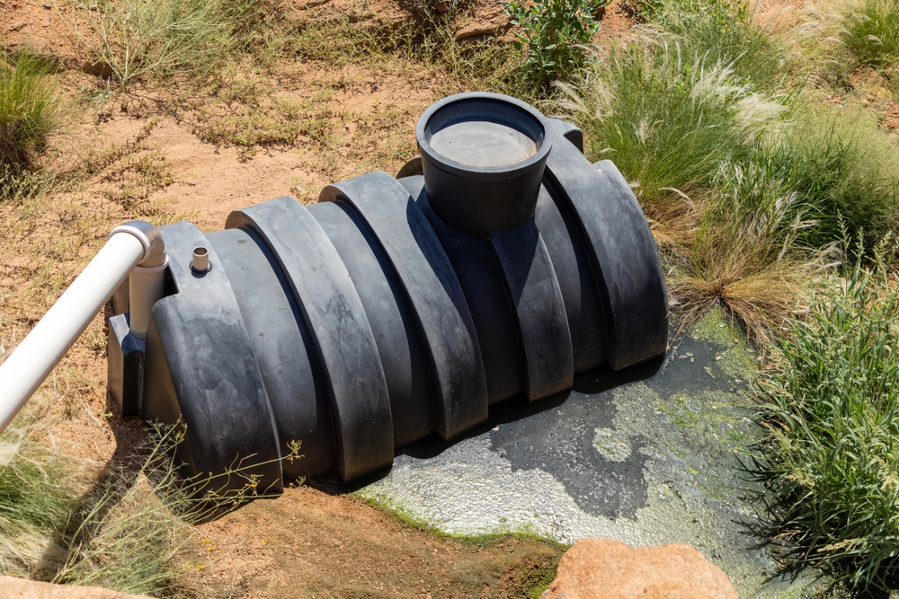 Bacteria Improve Septic Tank