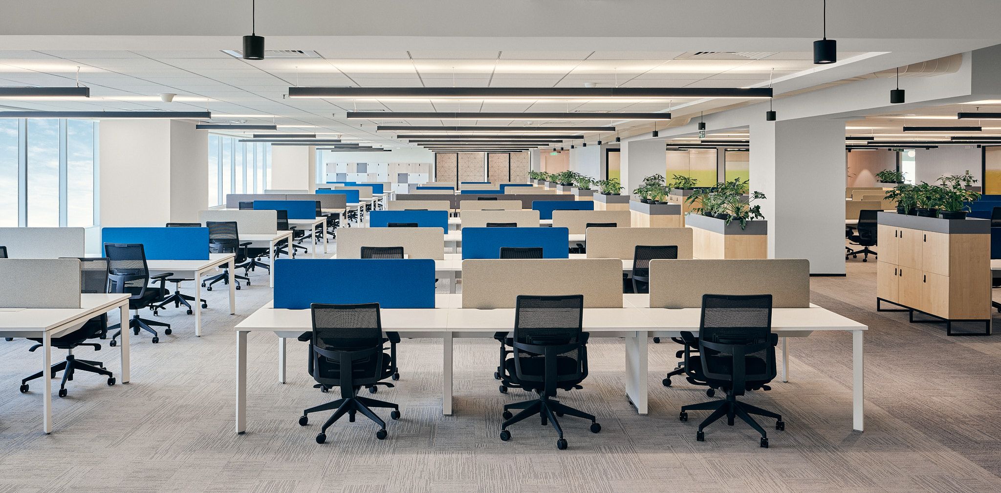 Office Rental